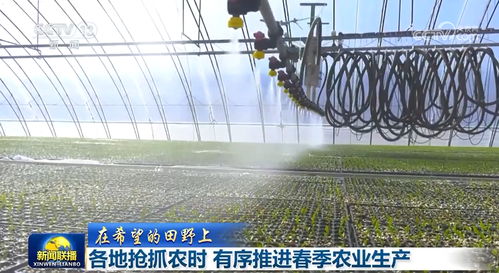各地搶抓農時 有序推進春季農業生產 農業種植技術開發