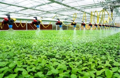 福建百香果產業示范園盛裝開園 新羅或成全國百香果產業示范區 農業種植技術開發